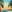  - ISLAND DREAMS MULTI